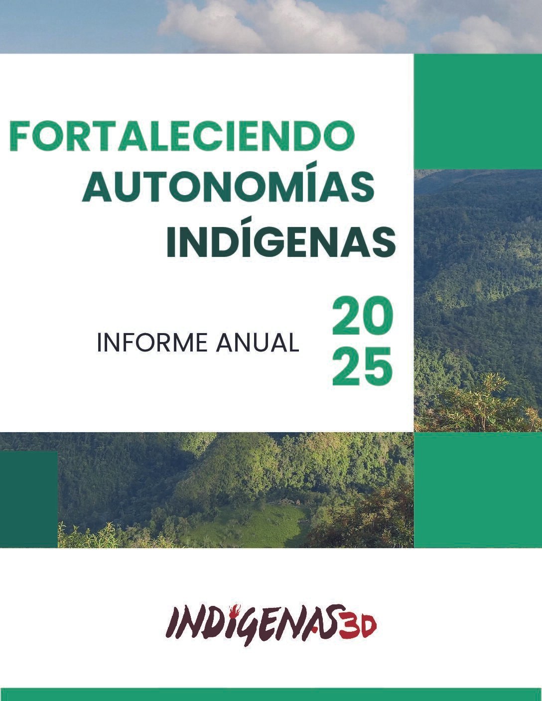 Informe Anual 2025