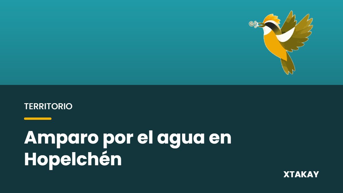 La Suprema Corte ampara a comunidades mayas de Hopelchén y ordena proteger su agua de los plaguicidas